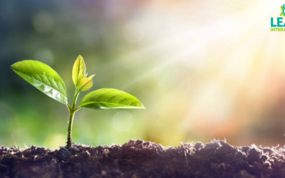 Keeping Content Current: The #1 Way to Keep Your Site Useful